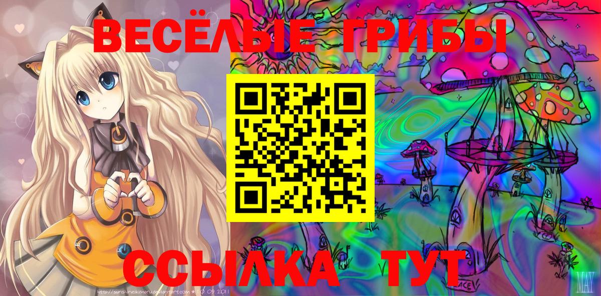 Псилоцибиновые грибы MAGIC MUSHROOMS  Псилоцибиновые грибы мухоморы  Тавда  Вход с VPN 