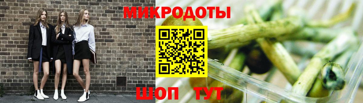 Галлюциногенные грибы Psilocybe Тавда